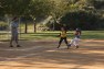 20120415067.jpg